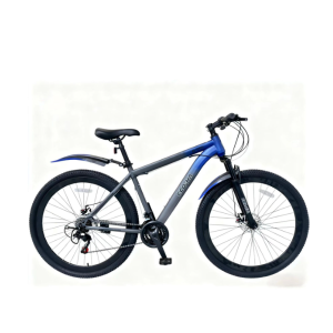 29 inch Mountain Climb Bike